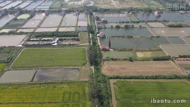 航拍农业种植农田稻田农作物